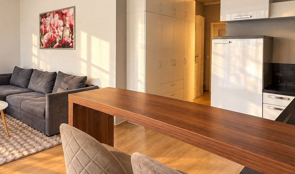 Pronájem bytu 1+kk 34 m², Kladno – náhled fotky 2