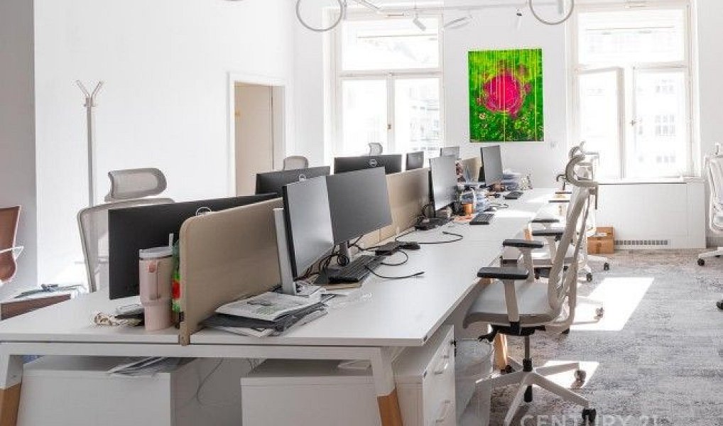 Pronájem obchodních prostor 503 m², Praha – náhled fotky 3