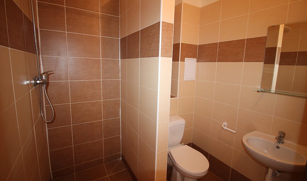 Pronájem bytu 1+kk 23 m², Ostrava – náhled fotky 4