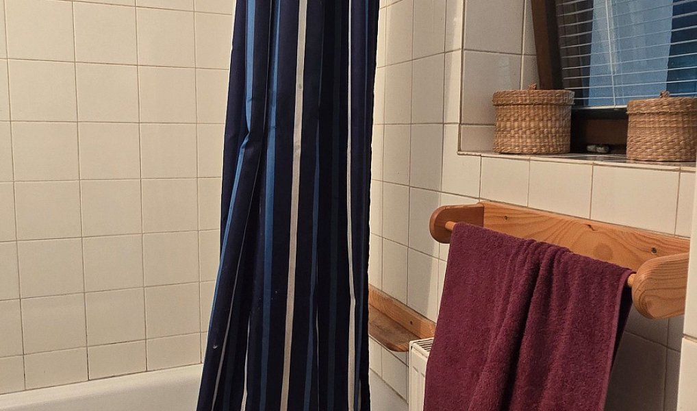 Prodej domu 93 m² s pozemkem 1 667 m², Šošůvka – náhled fotky 40