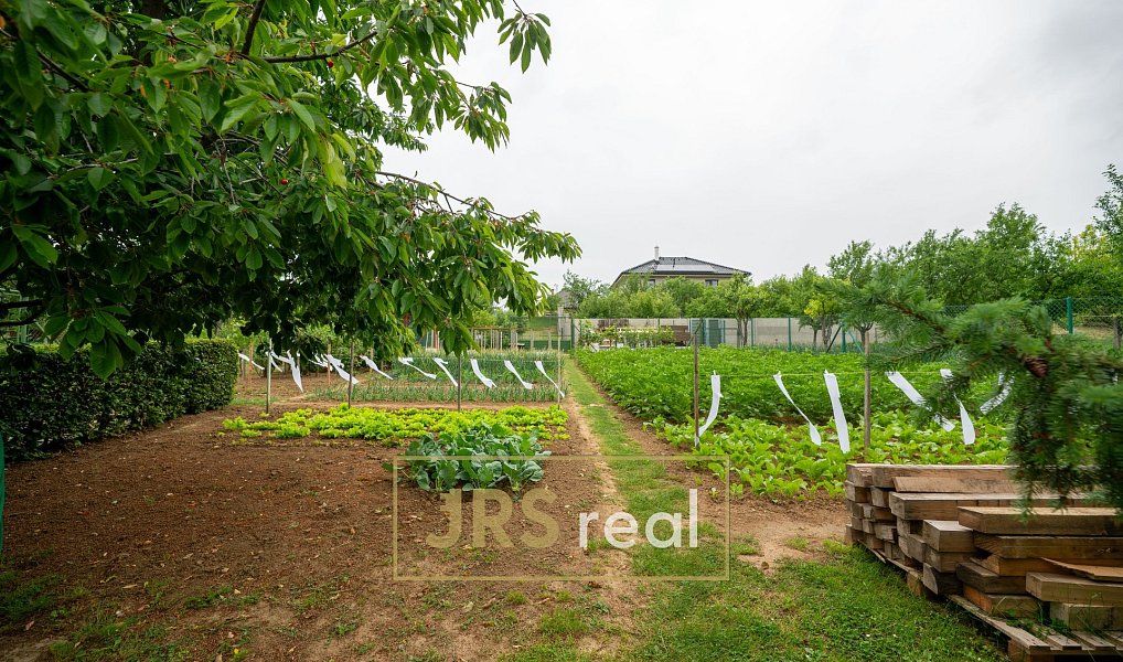 Prodej domu 226 m² s pozemkem 1 446 m², Moravany – náhled fotky 21