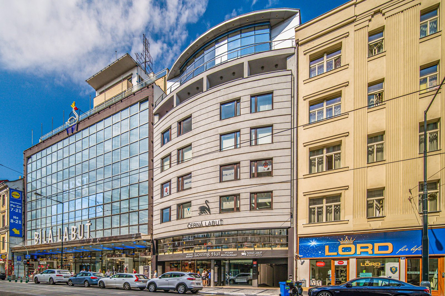Pronájem kanceláře 186 m²