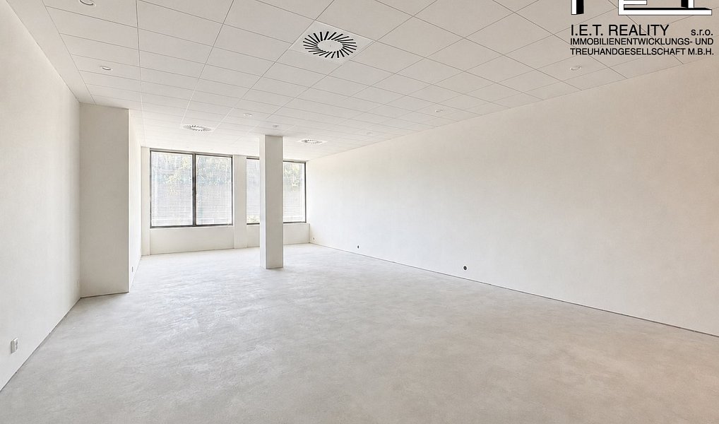 Pronájem kanceláře 65 m², Brno – náhled fotky 3