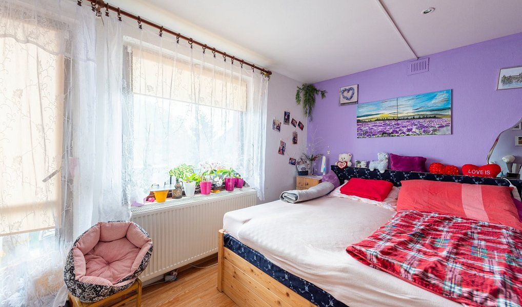 Prodej domu 200 m² s pozemkem 515 m², Nová Ves – náhled fotky 24