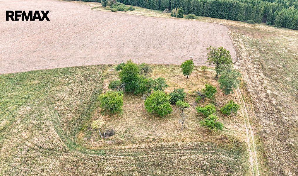 Prodej stavebního pozemku 3 633 m², Ošelín – náhled fotky 5