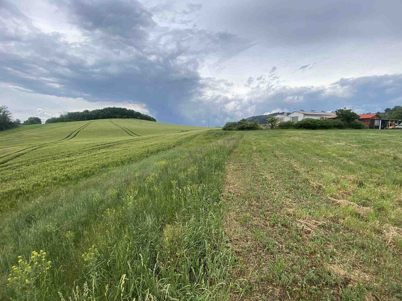 Prodej pozemku 1 561 m² – fotografie 3