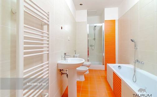 Prodej bytu 2+1 74 m², Rozvojová zóna, Janovice nad Úhlavou, okres Klatovy