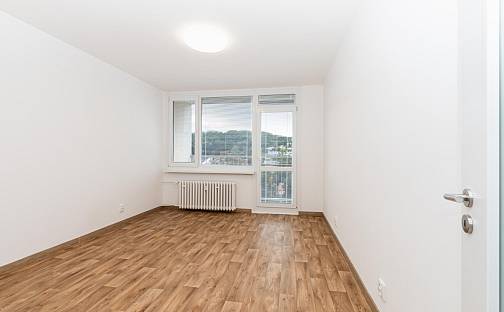 Pronájem bytu 2+1 60 m², Sibiřská, Ústí nad Labem - Neštěmice
