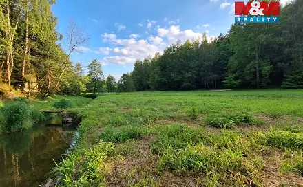 Prodej louky 1 522 m², Bor - Skviřín, okres Tachov