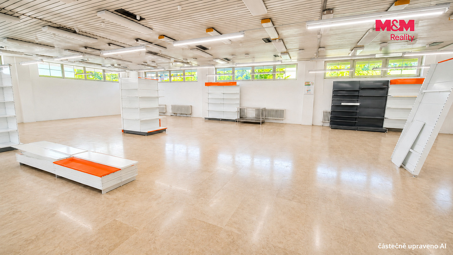 Pronájem obchodních prostor 260 m² – fotografie 4