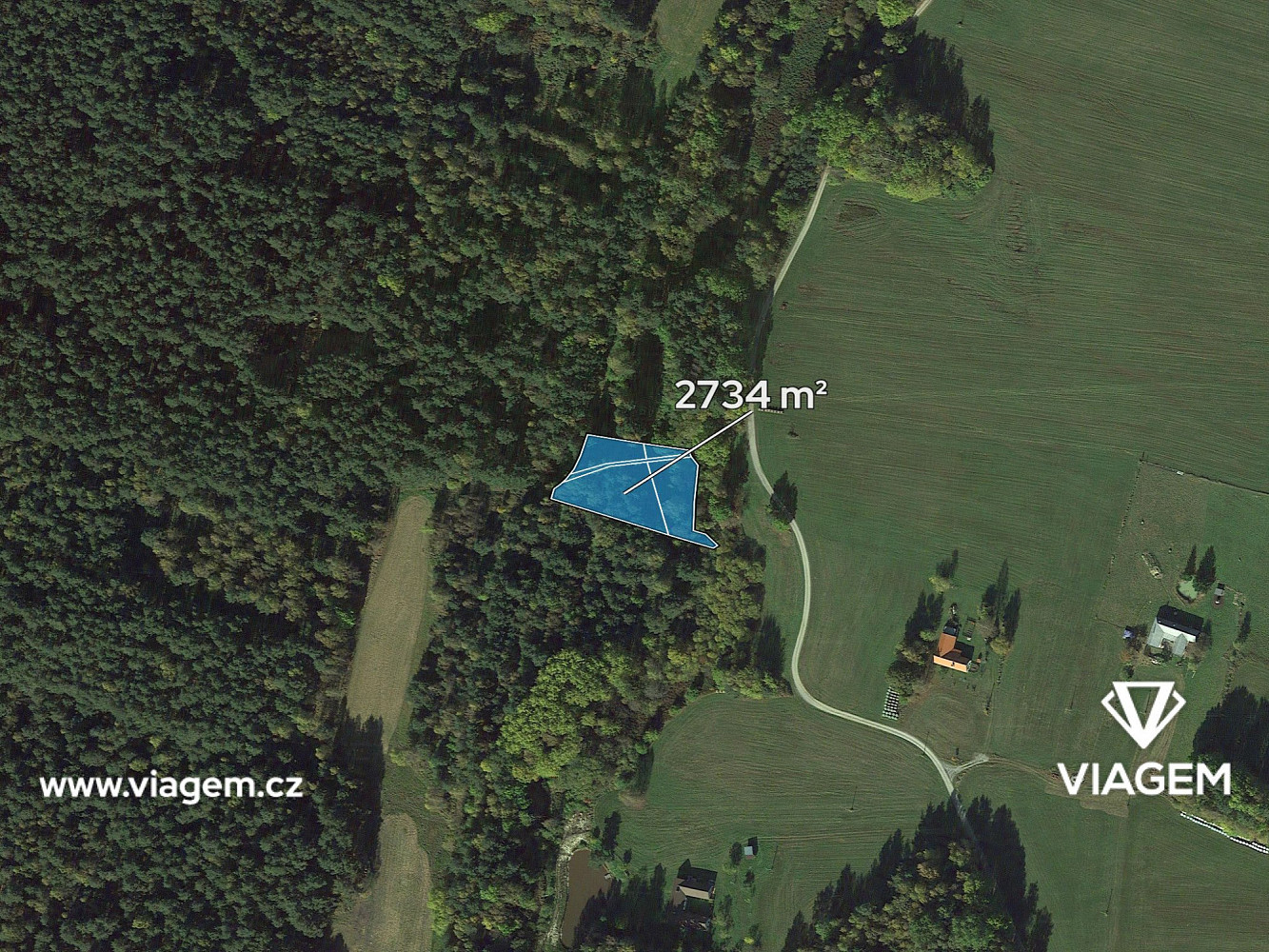 Prodej lesa 1 367 m² – fotografie 2