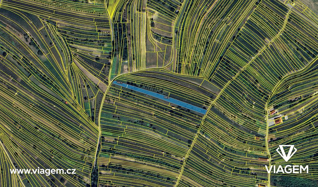 Prodej pole 604 m², Mutěnice – náhled fotky 4
