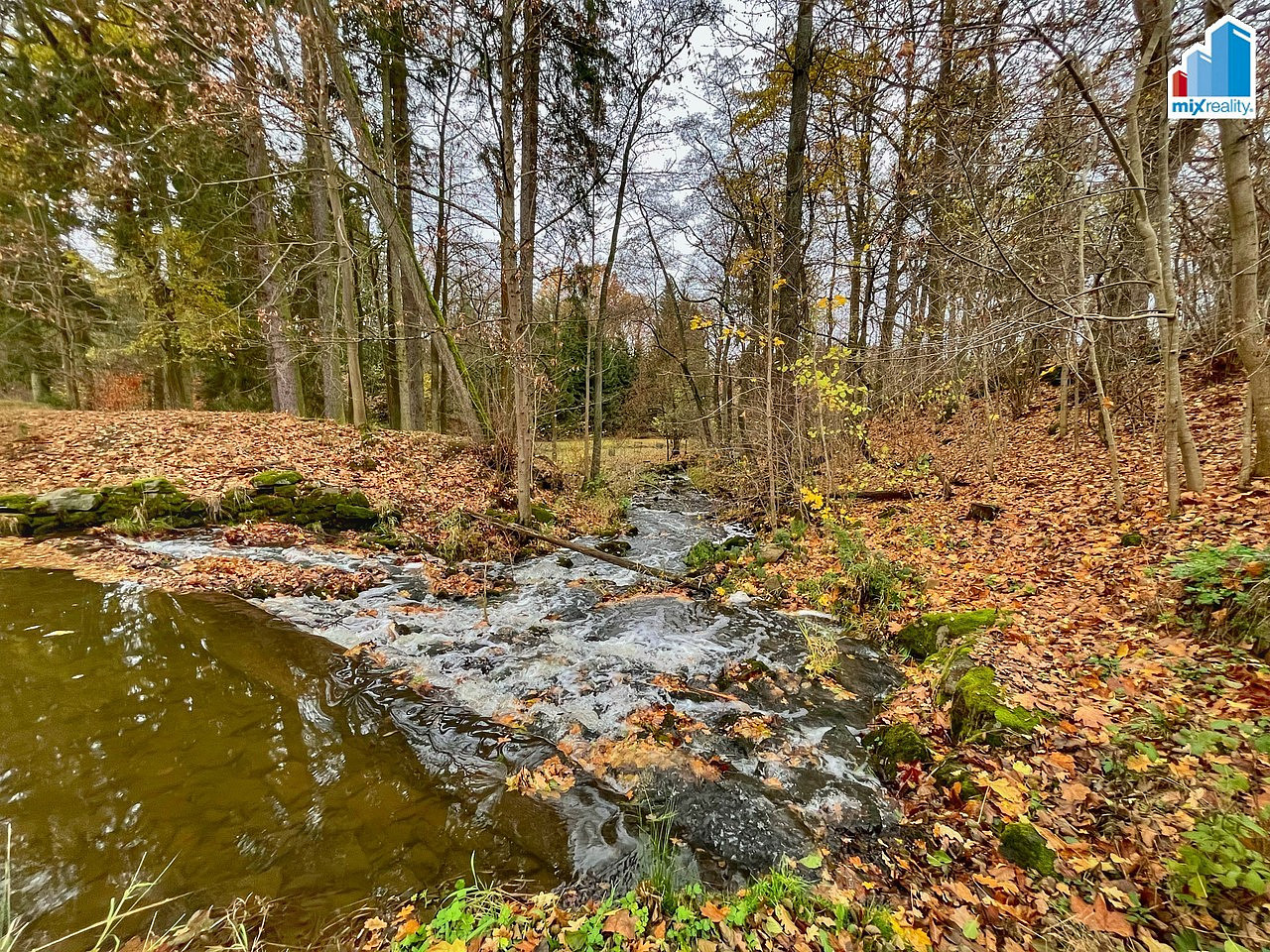 Fotka 8 z 25