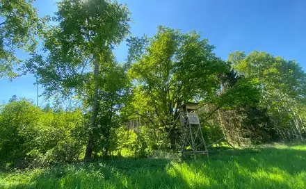 Dražba lesa 22 535 m², Kropáčova Vrutice, okres Mladá Boleslav