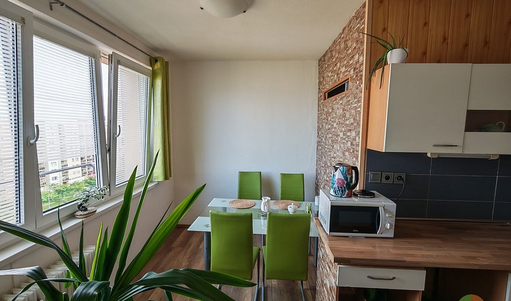 Prodej bytu 1+1 45 m², České Budějovice – náhled fotky 5