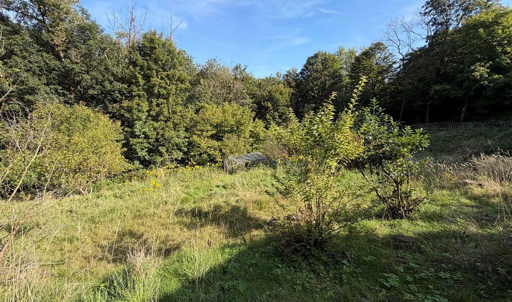 Prodej chaty/chalupy 16 m² s pozemkem 1 167 m², Malečov – náhled fotky 5