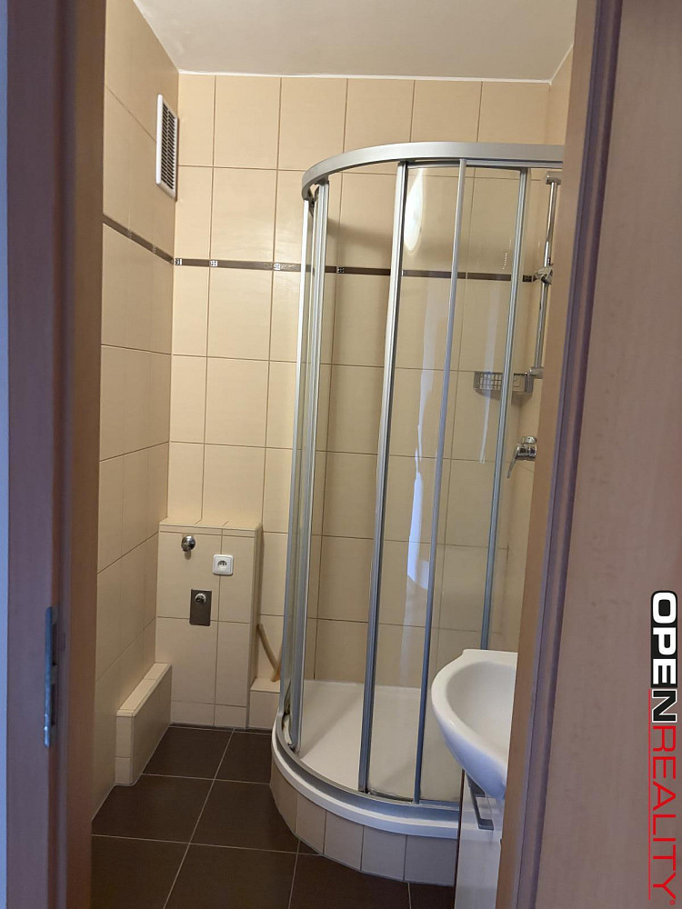 Pronájem bytu 1+1 40 m² – fotografie 2