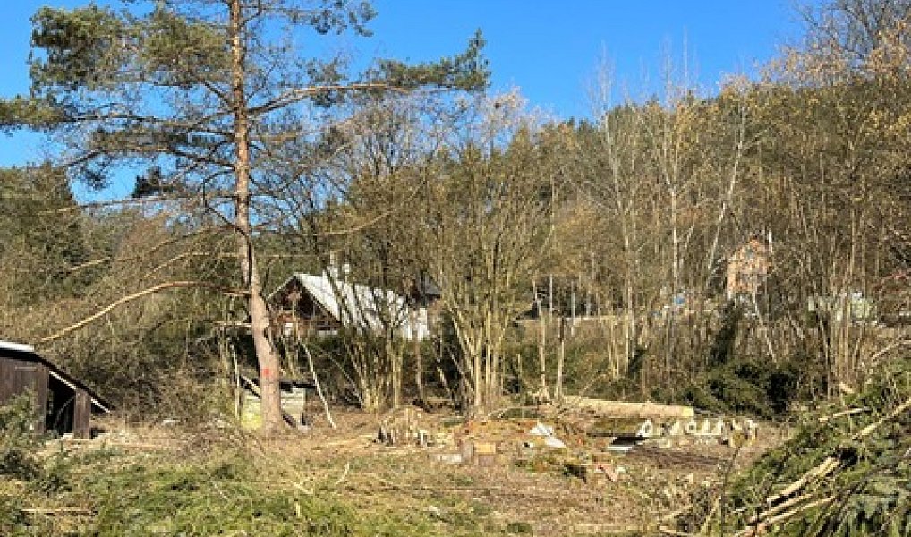 Prodej stavebního pozemku 5 083 m², Všelibice – náhled fotky 6
