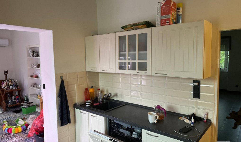 Pronájem bytu 4+1 145 m², Praha – náhled fotky 4