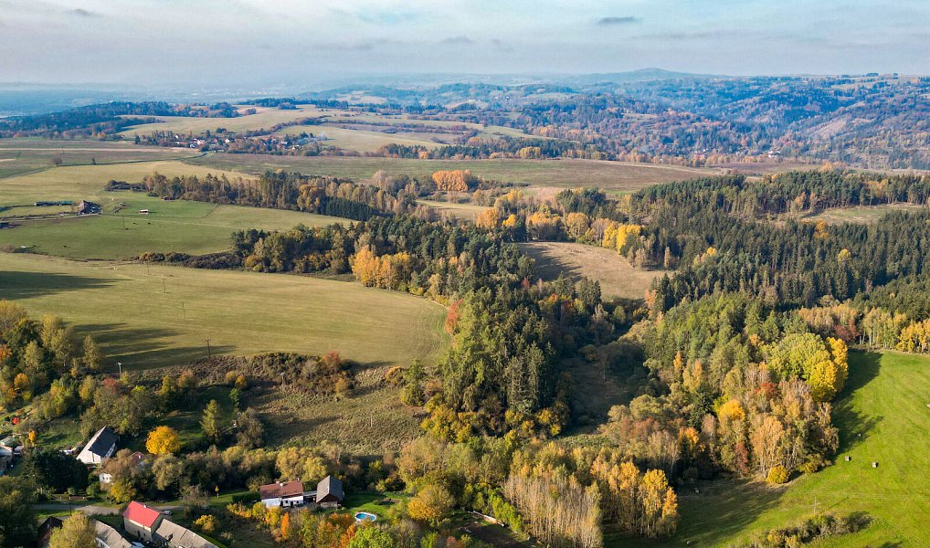 Prodej pozemku 15 970 m², Planá – náhled fotky 24