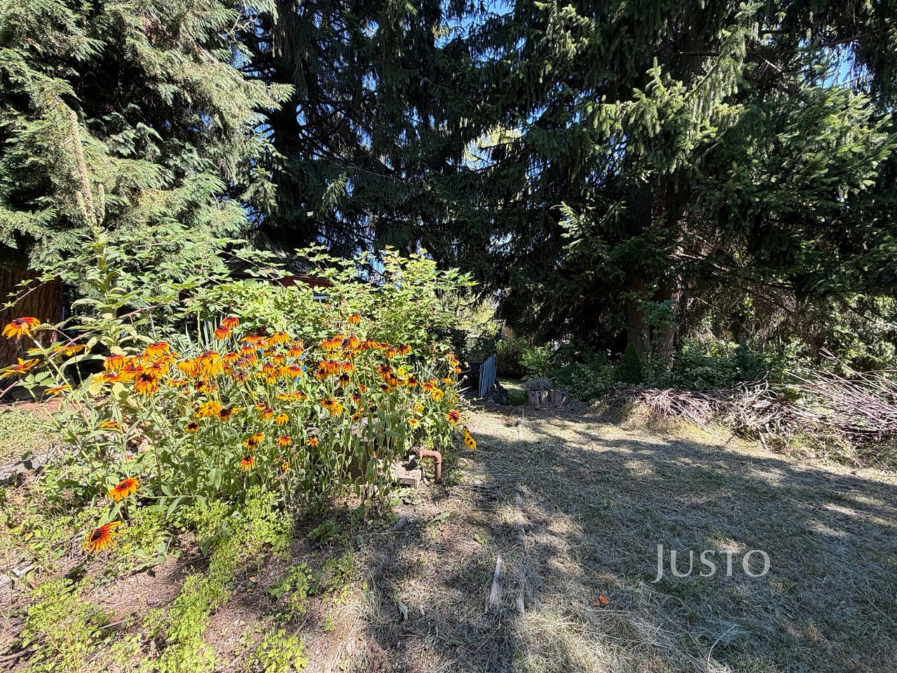 Prodej zahrady 266 m² – fotografie 5