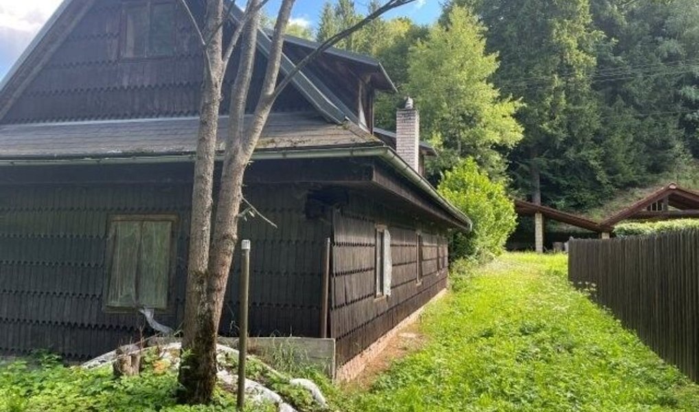 Prodej domu 600 m² s pozemkem 24 773 m², Velké Karlovice – náhled fotky 3
