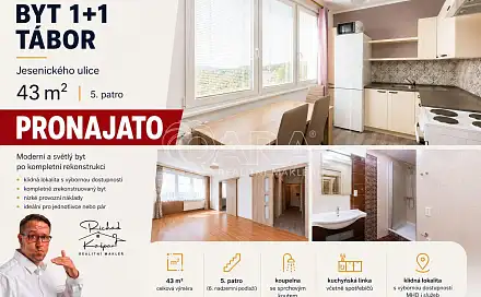Pronájem bytu 1+1 42 m²