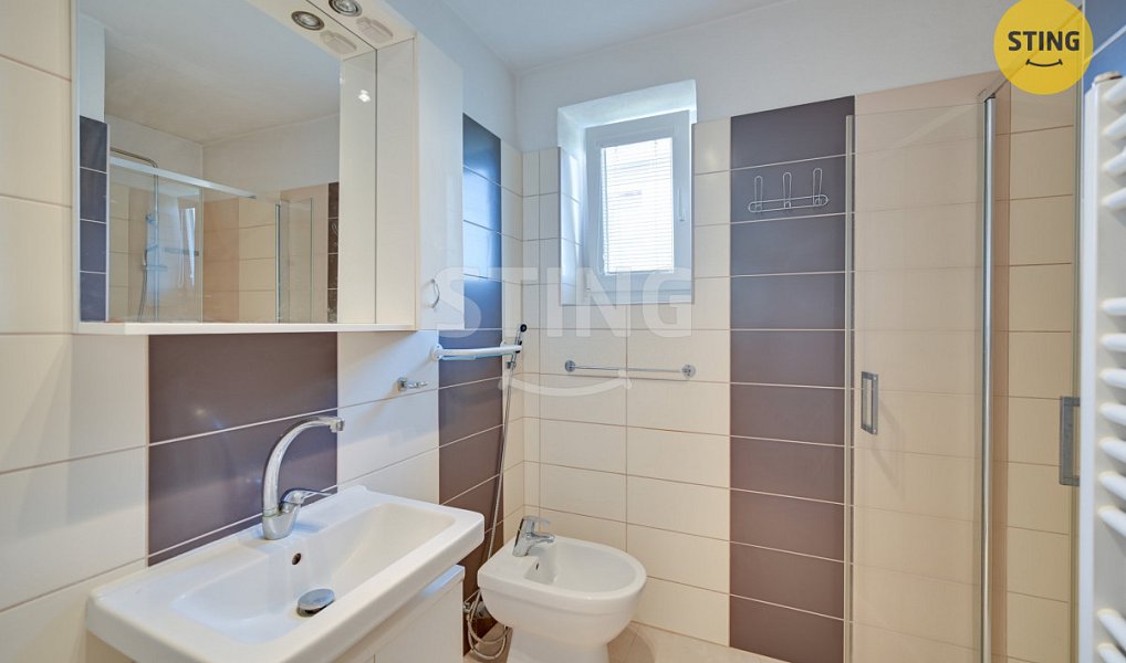 Prodej domu 200 m² s pozemkem 800 m², Nové Syrovice – náhled fotky 14