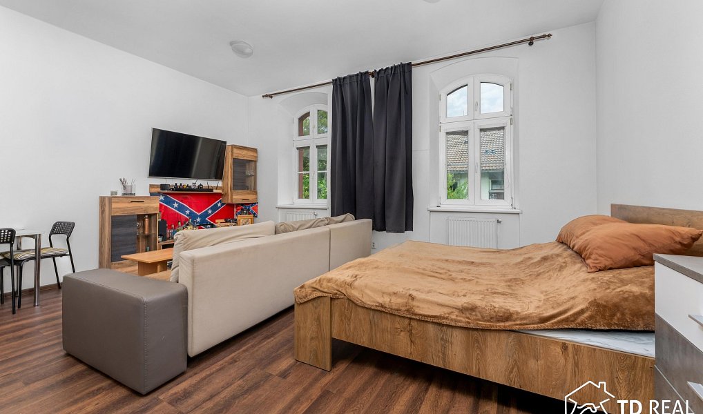 Prodej bytu 1+kk 47 m², Brno – náhled fotky 4