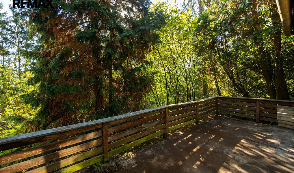 Prodej domu 100 m² s pozemkem 1 708 m², Plzeň – náhled fotky 8