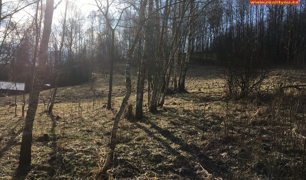 Prodej stavebního pozemku 1 400 m², Bernartice – náhled fotky 4