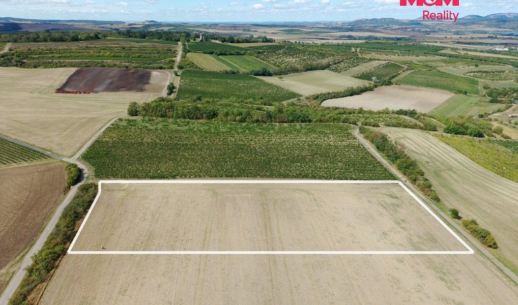 Prodej pole 9 598 m², Valtice – náhled fotky 3