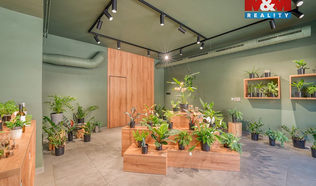 Pronájem restaurace 145 m², Plzeň – náhled fotky 9