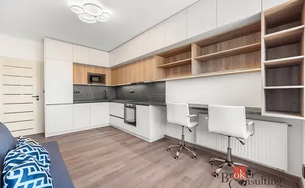 Pronájem bytu 1+kk 24 m², Bratislavská, Brno - Zábrdovice