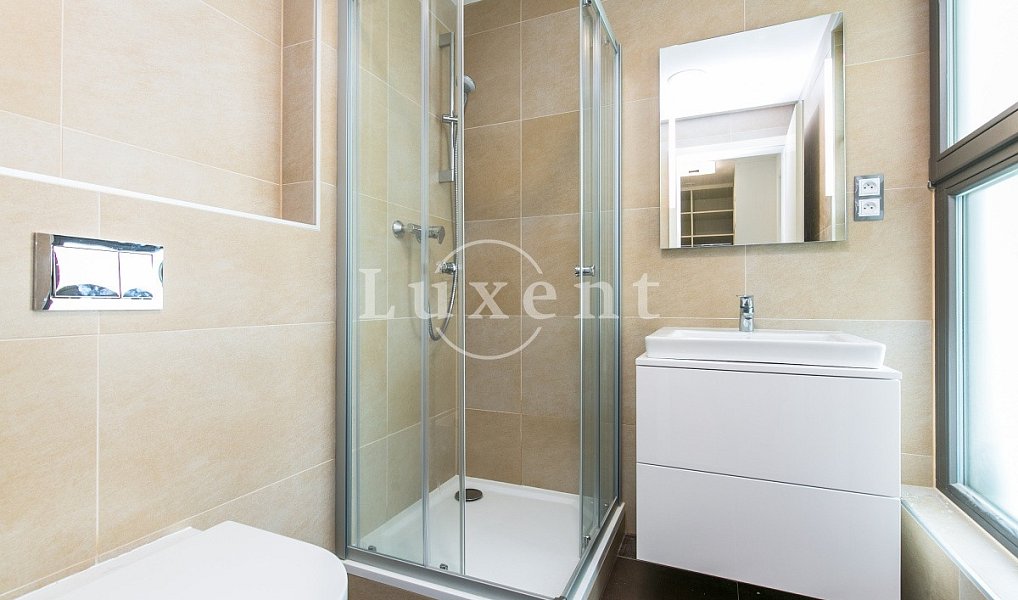 Pronájem bytu 3+kk 156 m², Praha – náhled fotky 12