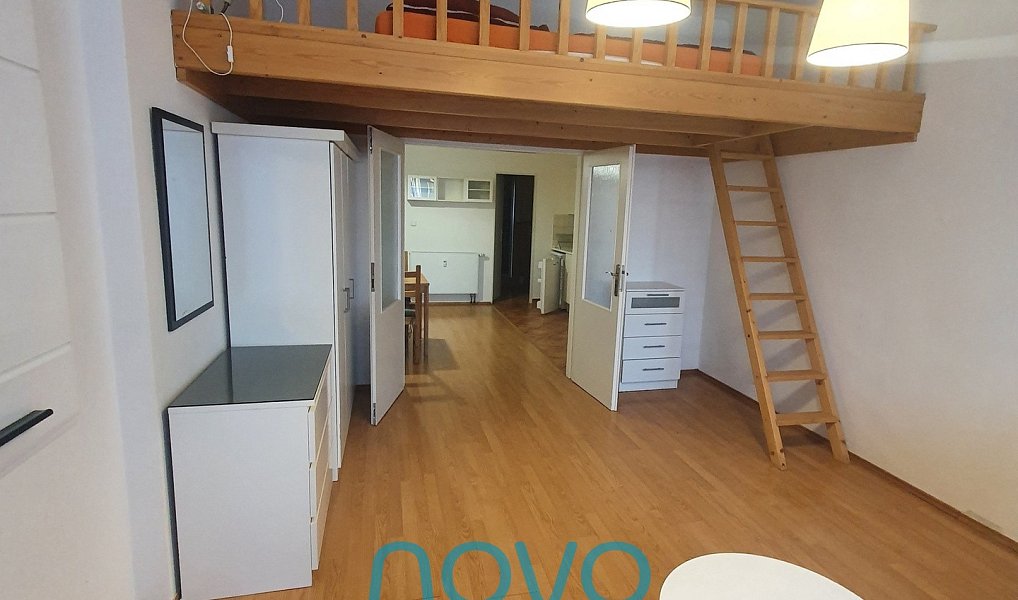 Pronájem bytu 1+1 43 m², Praha – náhled fotky 2