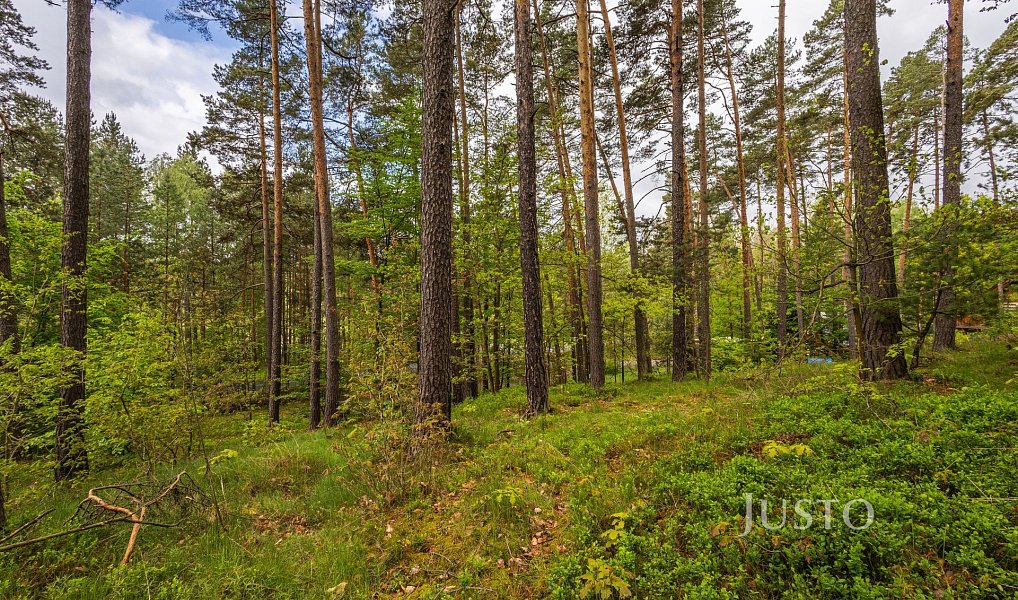 Prodej stavebního pozemku 1 647 m², Hamr na Jezeře – náhled fotky 7