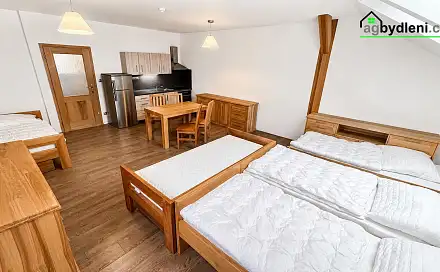 Pronájem bytu 1+kk 43 m², Čermná, okres Domažlice