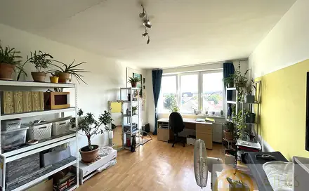 Prodej bytu 2+1 65 m², Kpt. Jaroše, Tábor