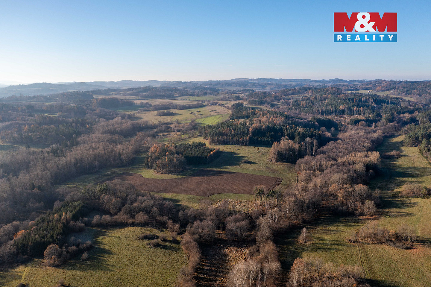 Prodej lesa 25 838 m² – fotografie 4
