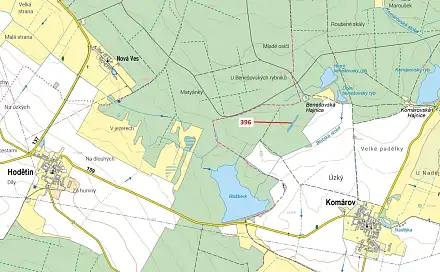 Dražba lesa 3 832 m², Komárov