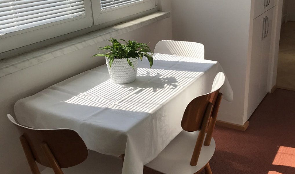 Pronájem bytu 2+1 56 m², Uničov – náhled fotky 5