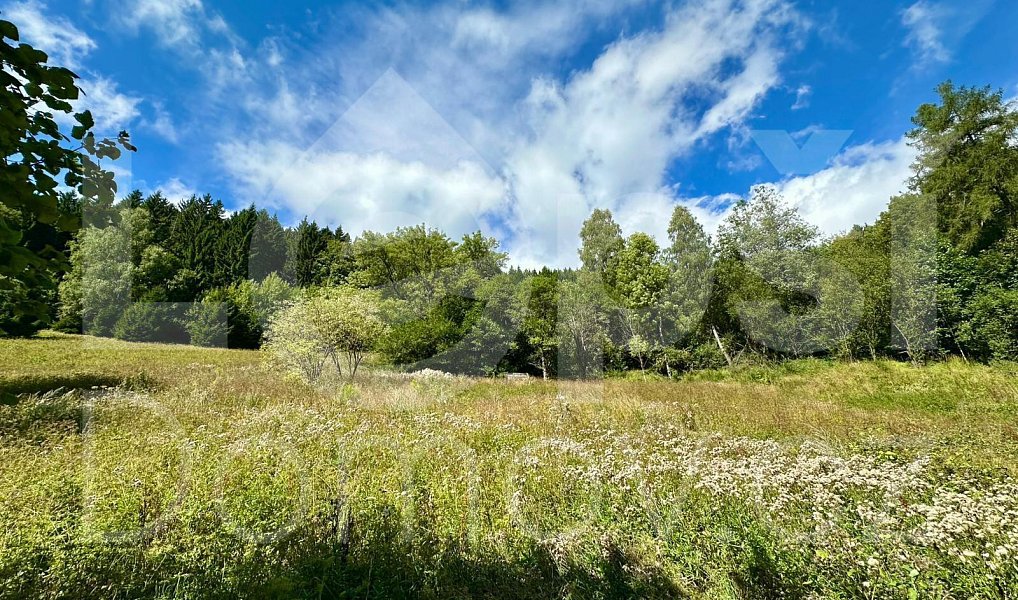 Prodej stavebního pozemku 1 379 m², Lipová-lázně – náhled fotky 4