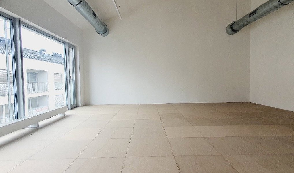 Prodej komerčního objektu (jiného typu) 258 m², Praha – náhled fotky 6