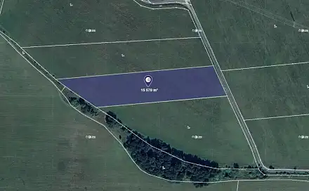 Prodej louky 2 595 m², Trstěnice, okres Cheb