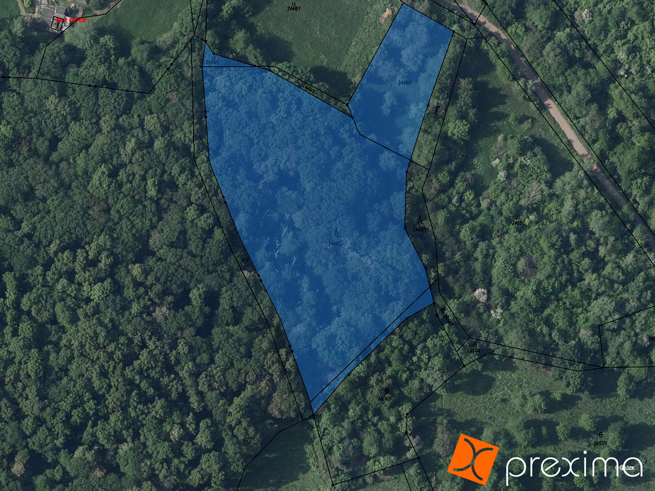 Prodej lesa 2 704 m²