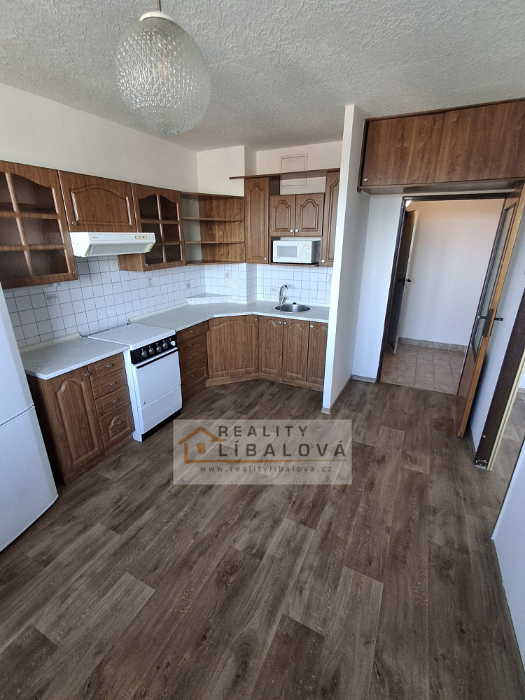 Pronájem bytu 1+1 45 m²