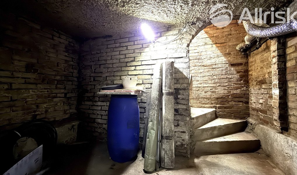 Prodej chaty/chalupy 94 m² s pozemkem 1 594 m², Břeclav – náhled fotky 17