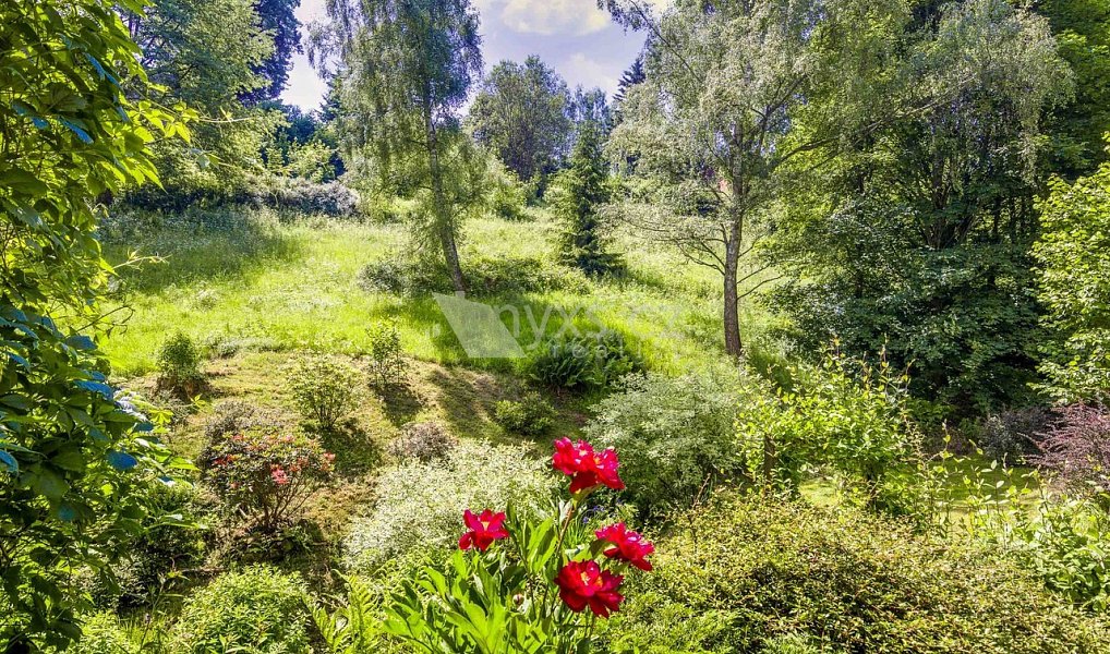 Prodej chaty/chalupy 128 m² s pozemkem 3 358 m², Stárkov – náhled fotky 24