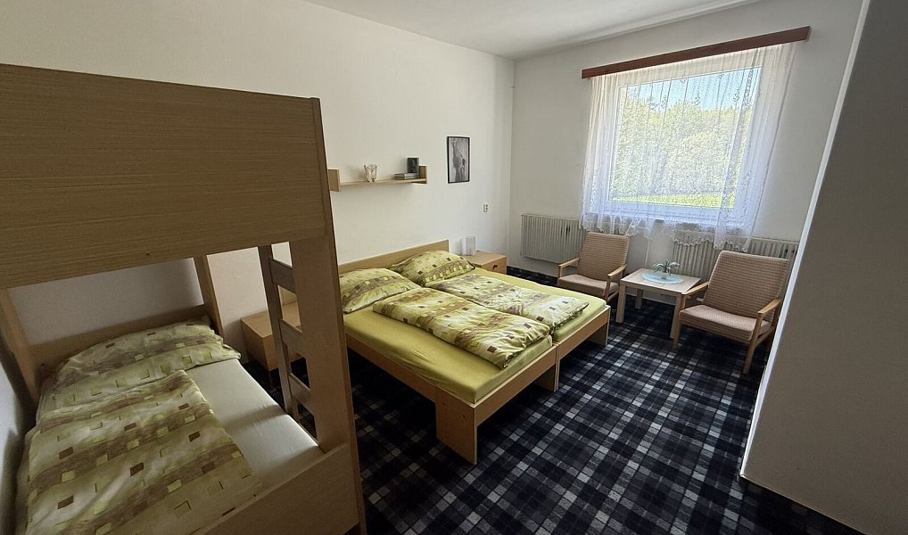 Prodej ubytovacího objektu 600 m², Horní Město – náhled fotky 9